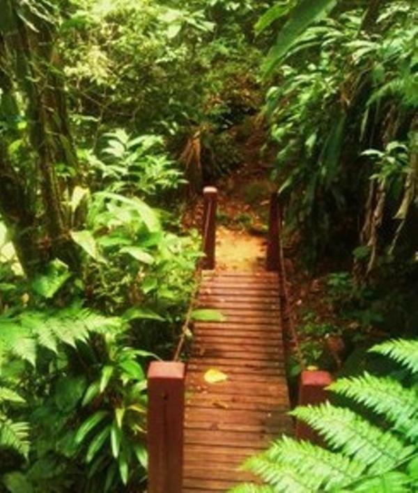 Hotel Bosques Do Massaguacu คารากัวตาตูบา ภายนอก รูปภาพ